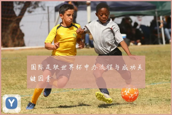 国际足联世界杯申办流程与成功关键因素
